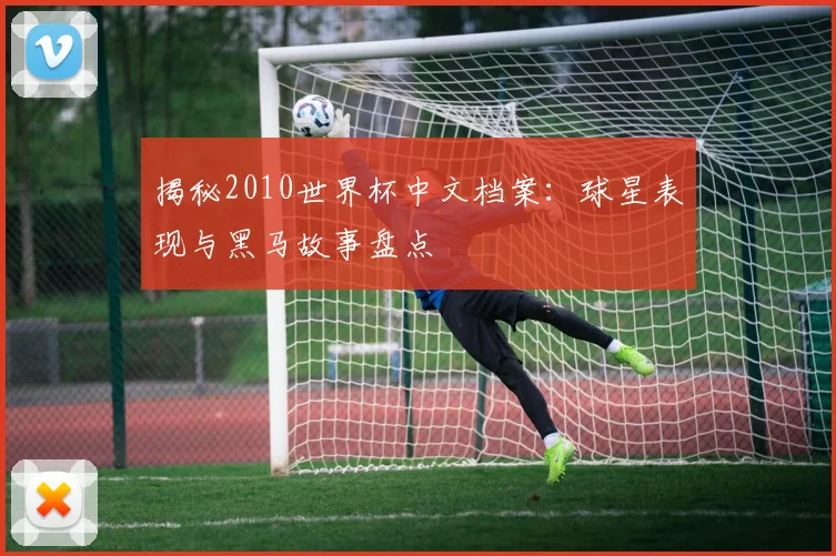 揭秘2010世界杯中文档案：球星表现与黑马故事盘点