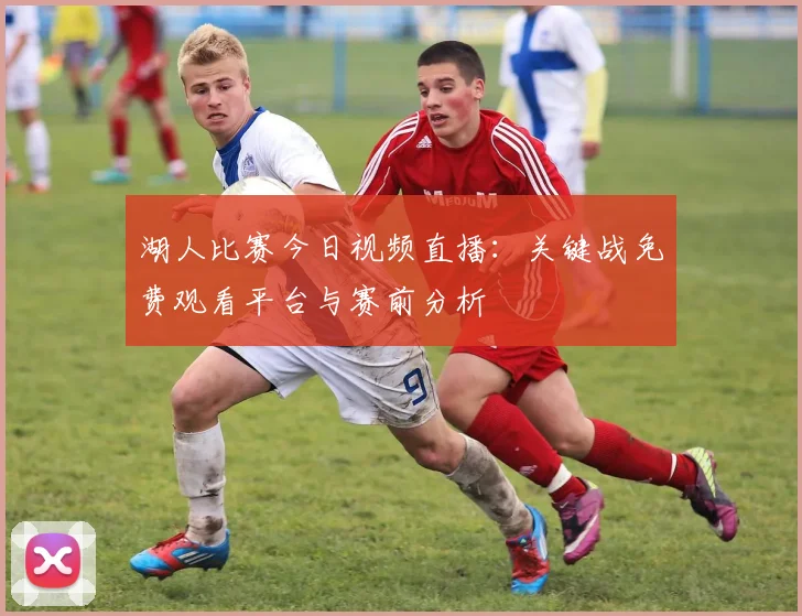 湖人比赛今日视频直播:关键战免费观看平台与赛前分析