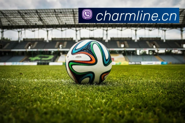 开云官方登录发展历程